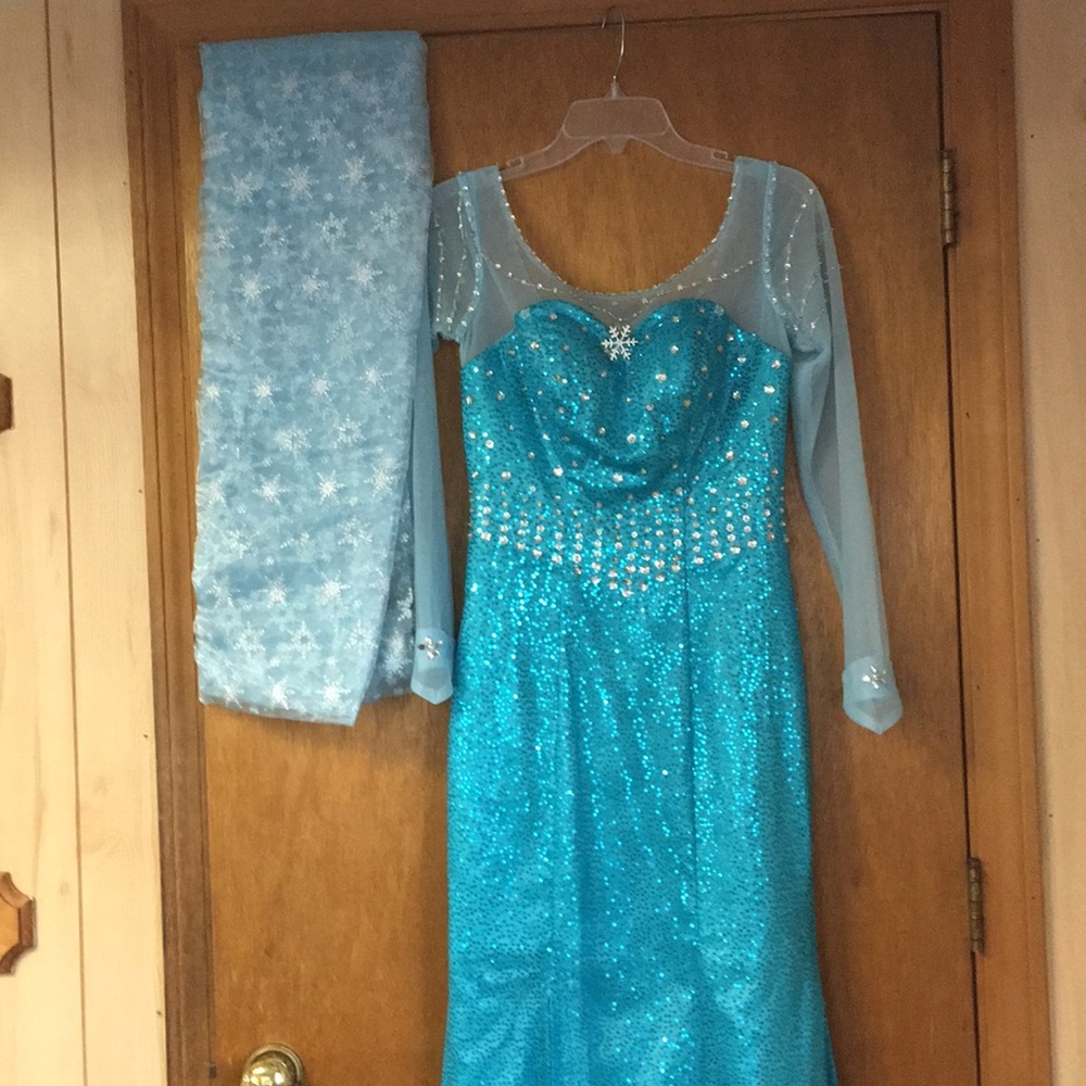 Adult Elsa dress